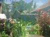 Аквариум с видами обитающими на о.Бали