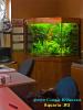 угловой аквариум в офисе