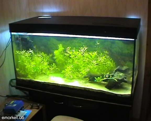 prodam-akvarium-460-litrov-dnepropetrovsk.jpg